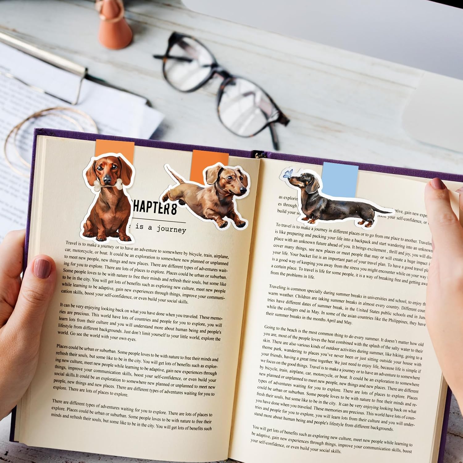 6/12 Darcy Dog Themed Waterpro - Bookmark Magnetic Clip review and price