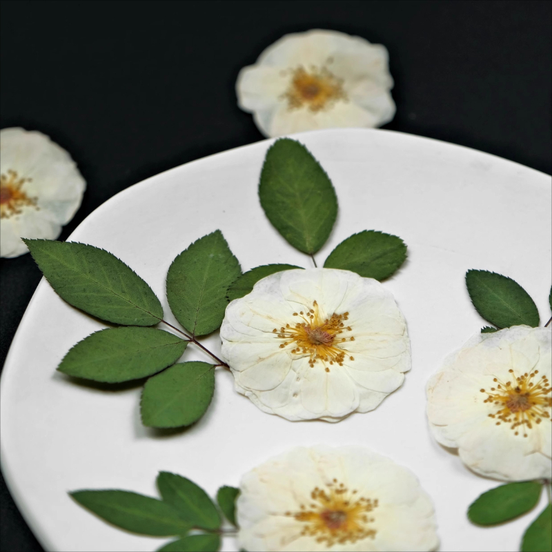 6pcs,9pcs,Nature White Rose Pr - Wax Seal Stamp Kit review and price